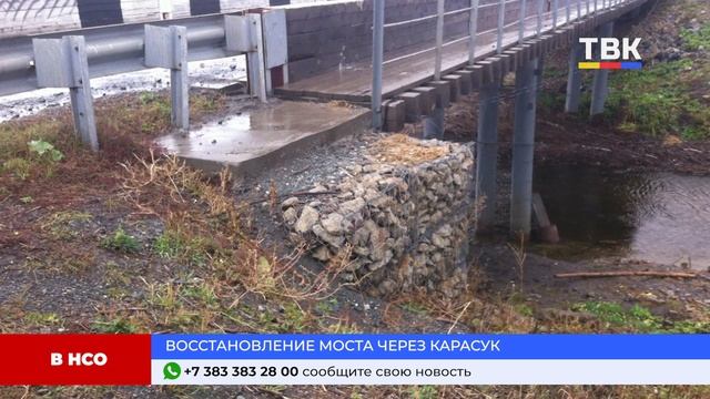 Программа "Дайджест" 30-01-25