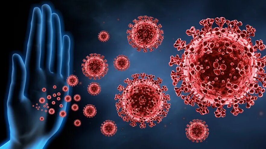 Что такое иммунная система? Какую роль играют Трансфер Факторы в иммунной системе?