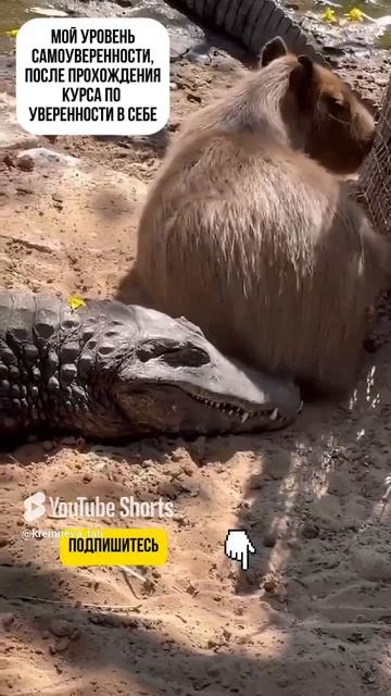 Хотите узнать подробности_ Подписывайтесь!🤗 #уверенностьвсебе #самооценка #развитие #психология