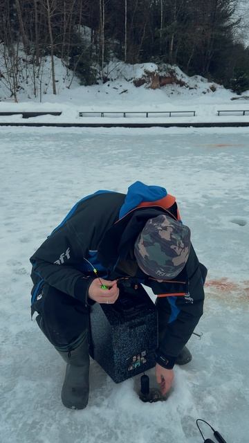 Поклевки сига на гвоздешарик!