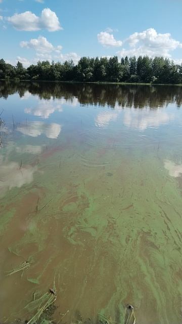 Не плохая Сопа