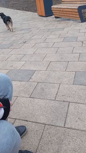 Наконец,дождались 😂