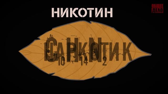 Безопасное детство (2) 2025