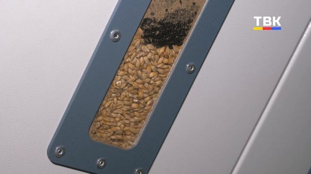 Семена высокого качества получило сельхозпредприятие Искитимского района