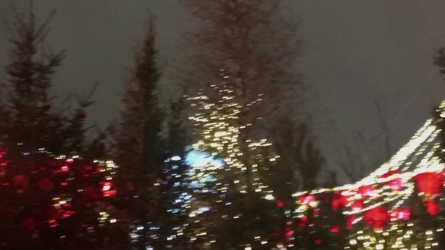 2025 1773 Москва Тверская 4мин 4к