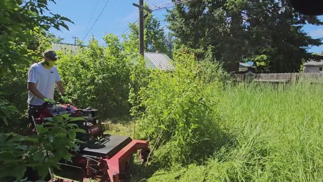 qc_ YOU WOULD RUN After Finding This BURIED In The Back...