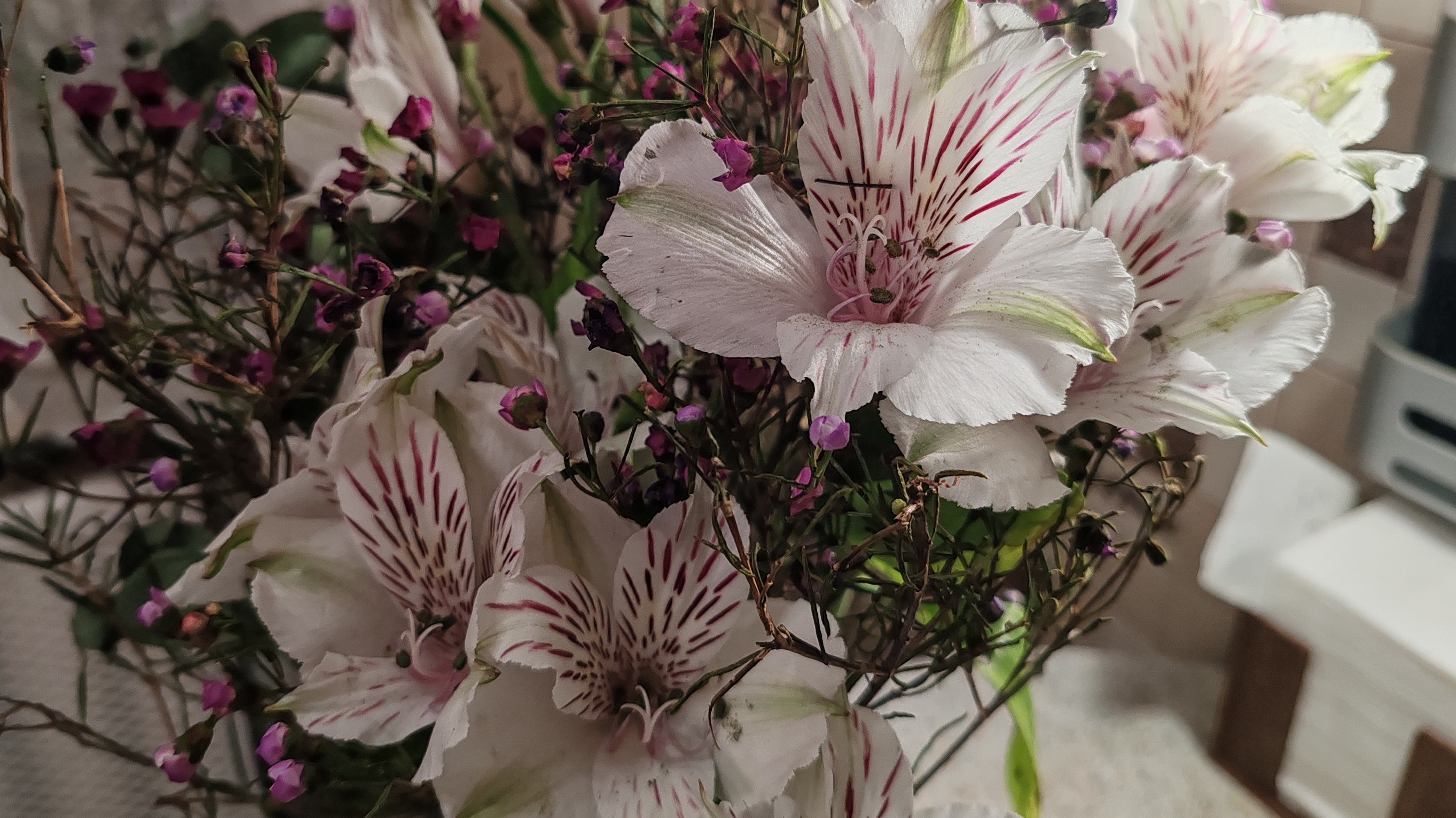 01-02-2025. Заварила торф. Сварила окуней. Посадила петунии на рассаду. Вечерний чай.