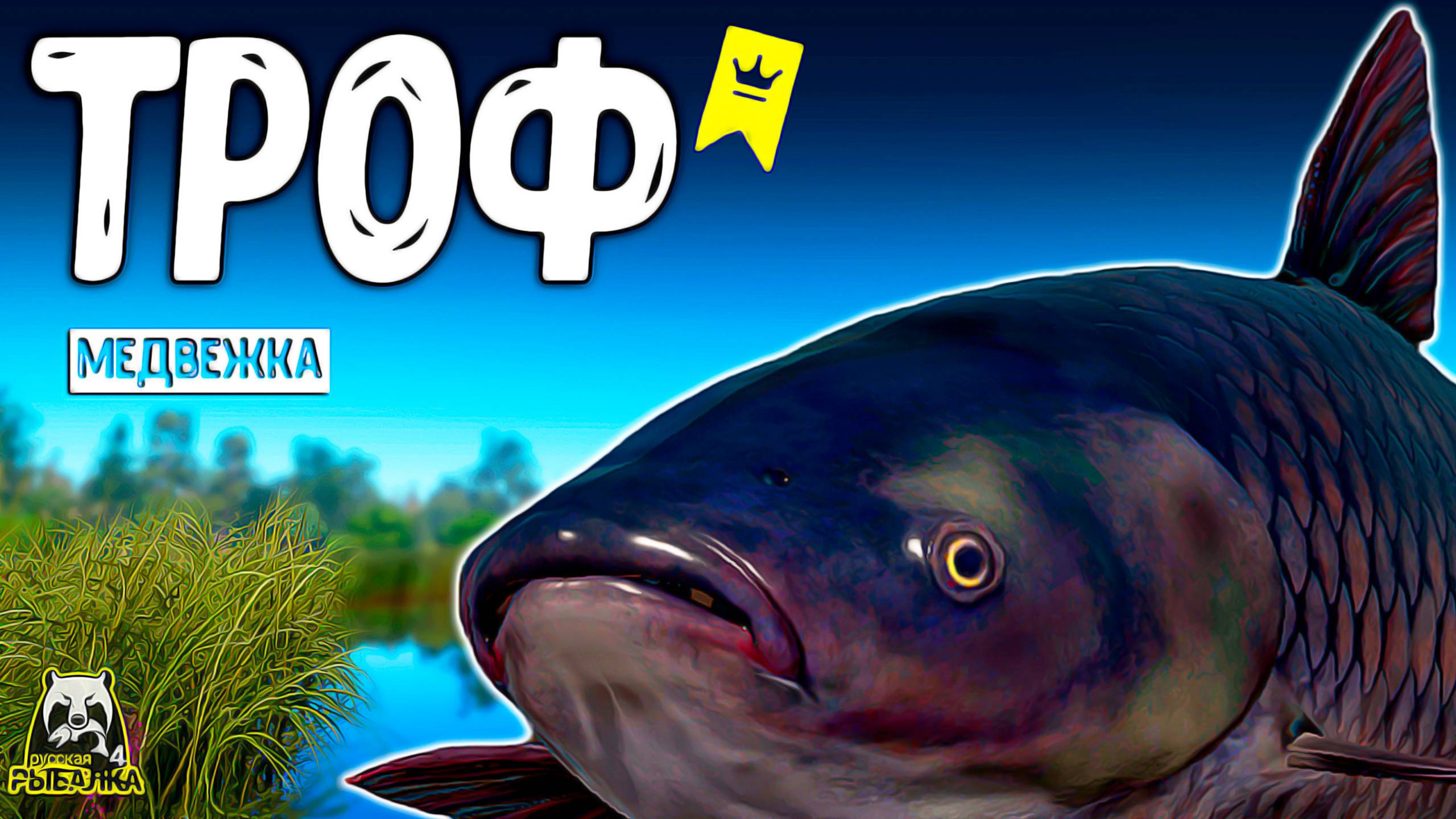 RF4 СЛУЧАЙНАЯ ТРОФЕЙНАЯ ПОКЛЁВКА А ДУМАЛИ ТАМ КАРП #рр4
