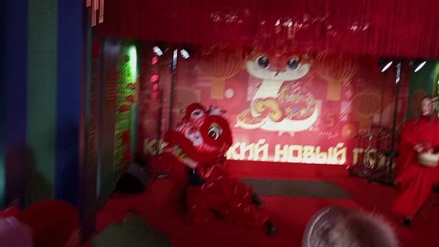 2025 1769 танец львов 5мин 4к