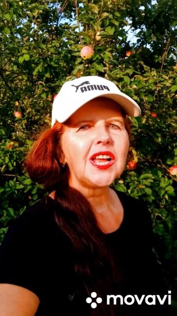 Тарифные преференции, Страна происхождения товара #таможня #бизнес #customs