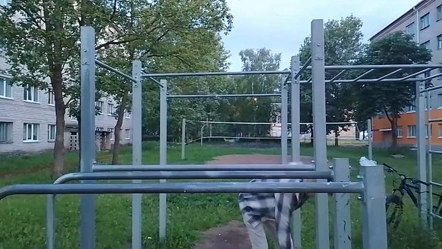 Поездка из Петербурга на Рено Меган в Псковскую Деревню - 2024