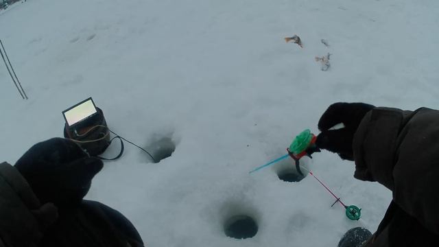 Основные моменты 3. Зимняя рыбалка. Окунь, Сорога.