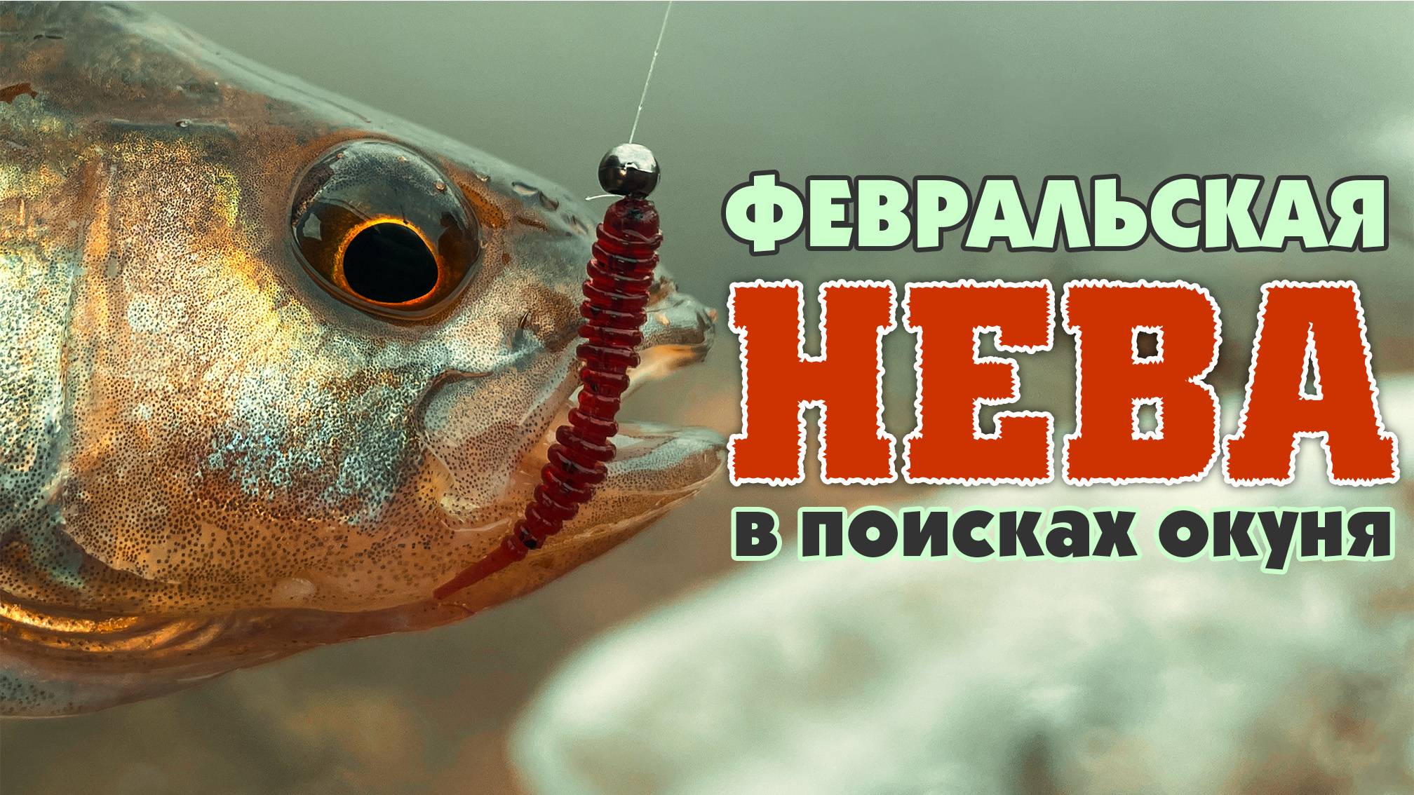 НАШЁЛ ОКУНЯ среди льда и отвёл душу! Февральская НЕВА #микроджиг #дропшот #стритфишинг #окунь