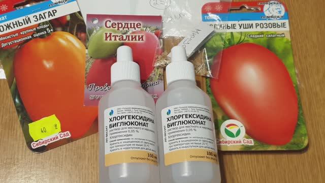 Посевная 2025 г. Обработка и Подготовка семян томатов к посадке. Дружные всходы + дезинфекция.