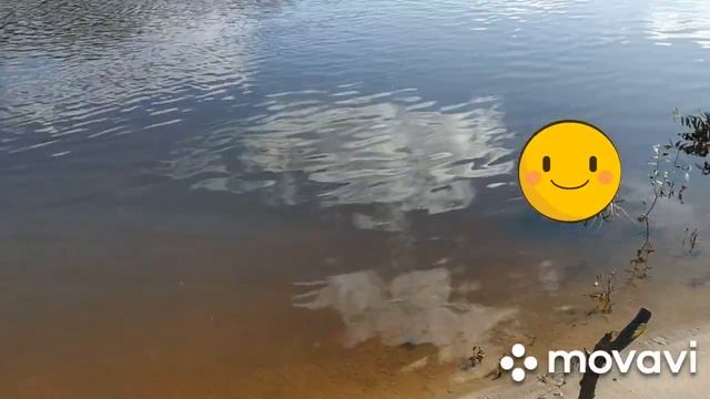 Рыбалка на Ветлуге. Сентябрь