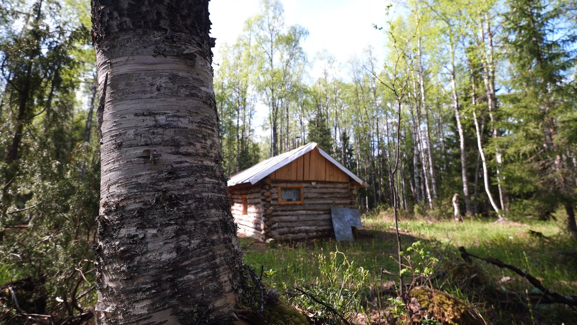 Проверил избушку. Крупный хариус на удочку. Ночь под ёлкой.