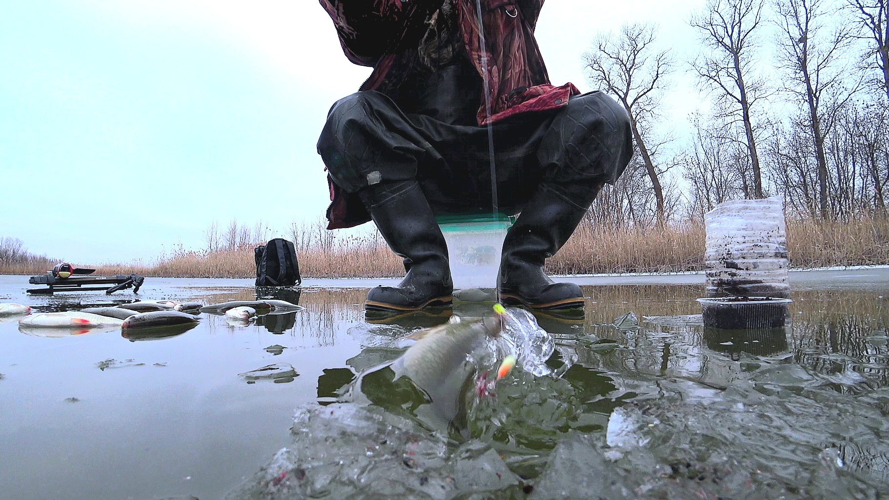 МОРМЫШКУ ОПУСТИЛ - СРАЗУ НАЛОВИЛ! ВОТ ЭТО РЫБАЛКА! НА ГРАНИ! ОСТАВИЛ ЖЕРЛИЦЫ, А УТРОМ ОФИГЕЛ