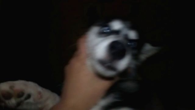 MelomanicaTV : Сергей РАzoom Фокин в фильме Николая Клименко Матюги с молитвами - 13. 2021 год.