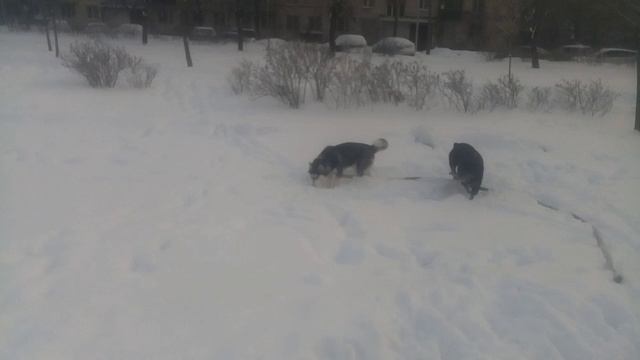 MelomanicaTV : Сергей РАzoom Фокин в фильме Николая Клименко Матюги с молитвами - 16. 2021 год.