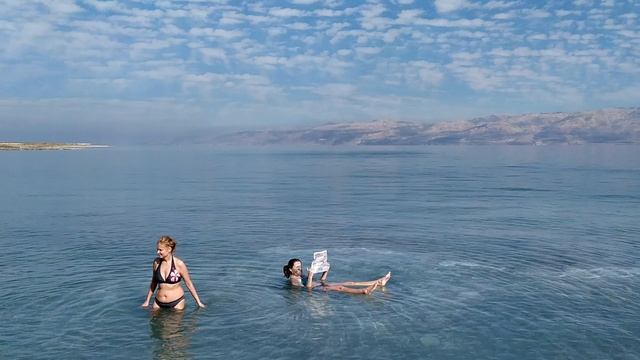 Библиотека на Мёртвом море)))Читаем с подругой!