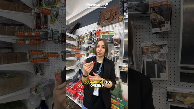 Интересные факты о змеях 🐍