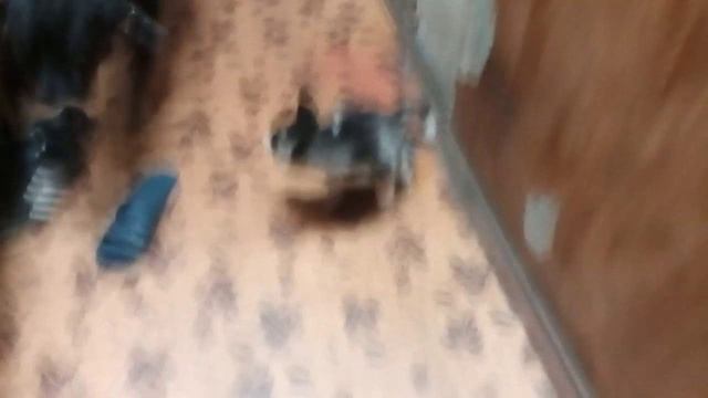 MelomanicaTV : Сергей РАzoom Фокин в фильме Николая Клименко Матюги с молитвами - 12. 2021 год.