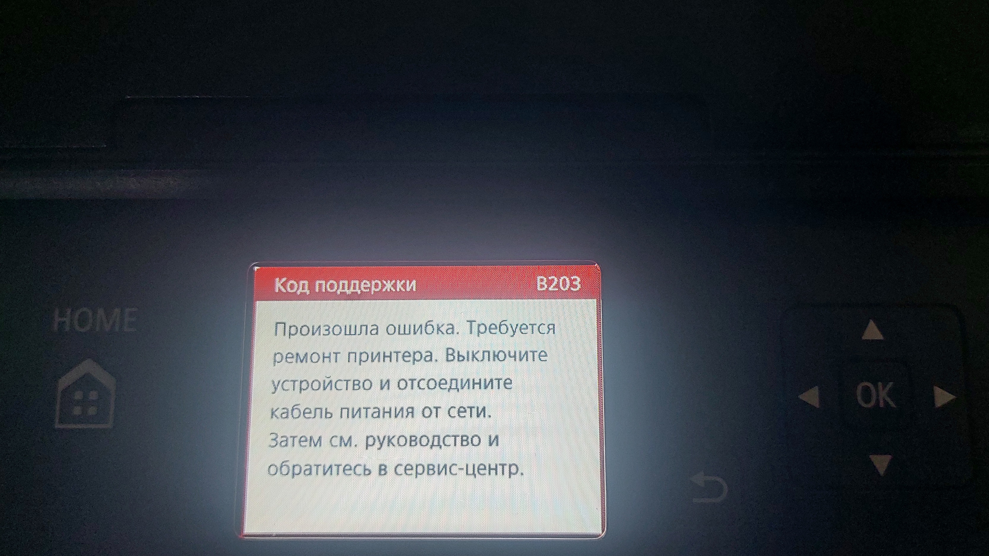 Ремонт принтера Canon TS 5040. Ошибка В 203