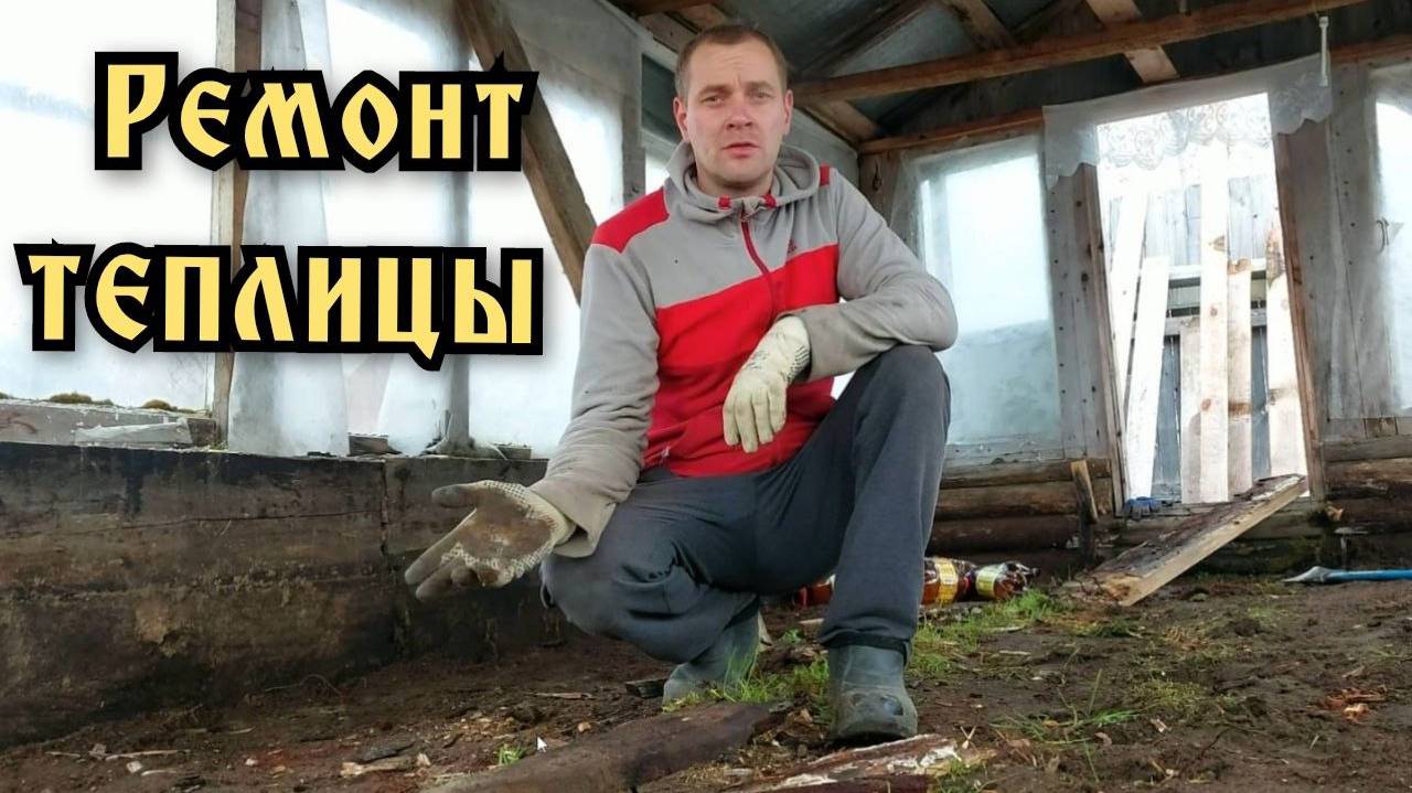 На даче. Начинаю реставрацию теплицы. Заморозки.