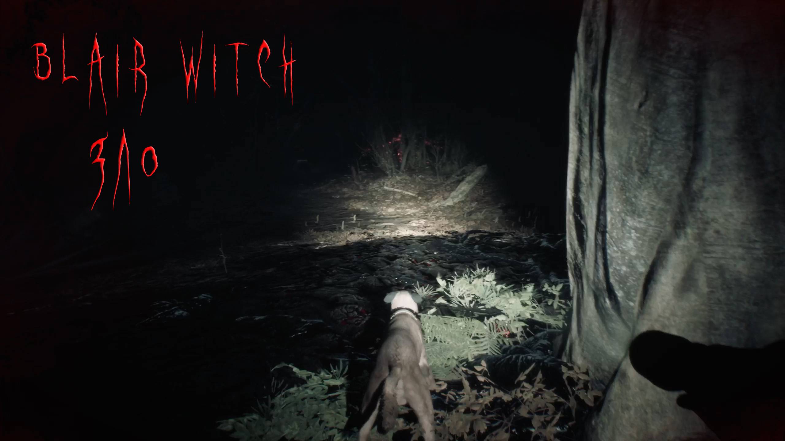 Blair Witch | ЗЛО