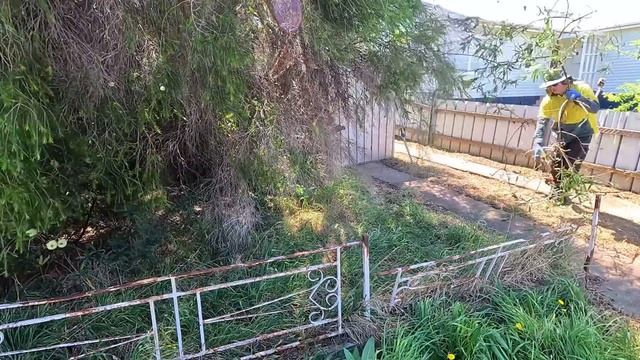 qc_ NEGLECTED yard for a homeowner with POOR HEALTH!