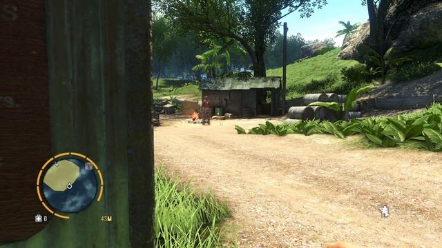 Far Cry 3  9