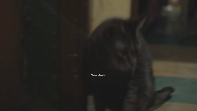 MelomanicaTV : 7 - й фрагмент фильма Сергея РАzoom Фокина Одиночество - 2. С кошками... 2025 год.