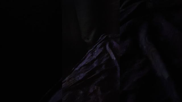 05-02-2025о соседях и их подлостях о групповом сговоре во главе тафинцевой и ее прихвостнях