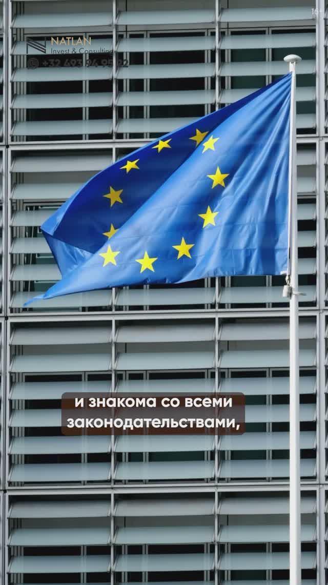 Какие гарантии есть у клиента? |  Иммиграционный юрист Наталья Таланова #внжвевропе