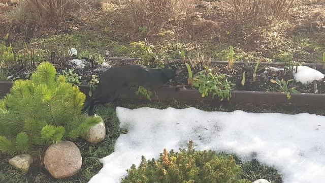 26 Января умеет удивить зима )))