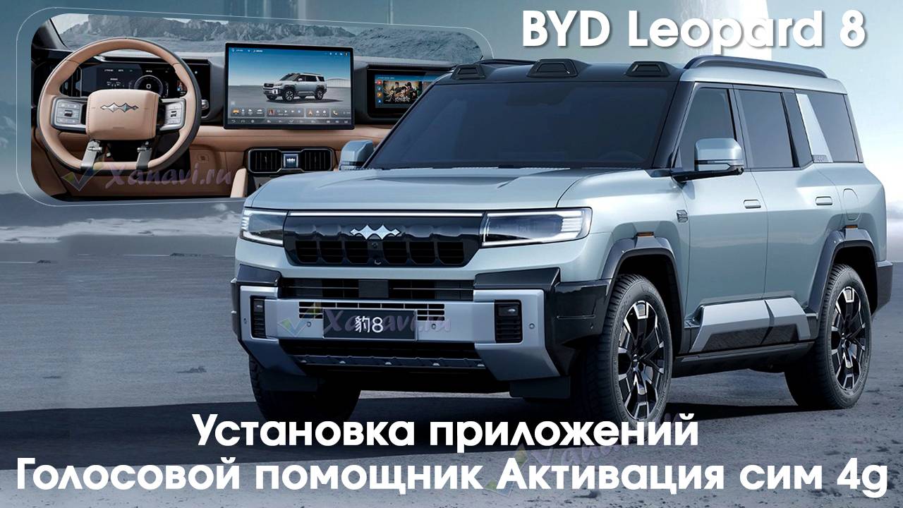 Leopard 8 - установка приложений на 2 экрана, голосового ассистента, SIM, диагностика и обновление