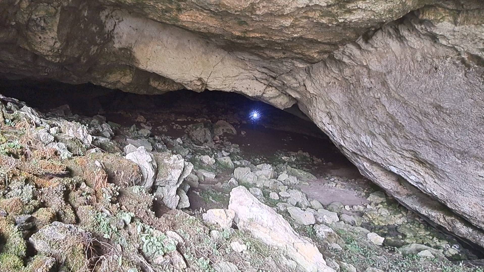 #45 Сочи. Грот Барибана. Декабрь 2024 г