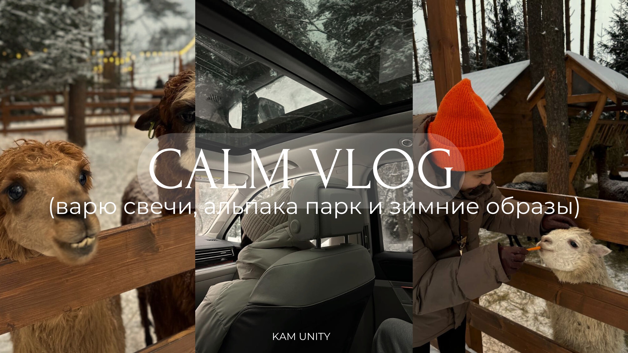 Уютный (тихий) влог/ Январь 🤍