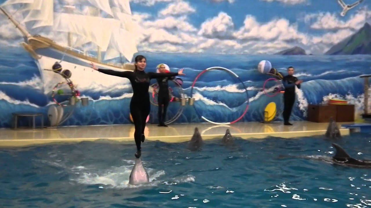 Нижегородский дельфинарий_DSCF2556