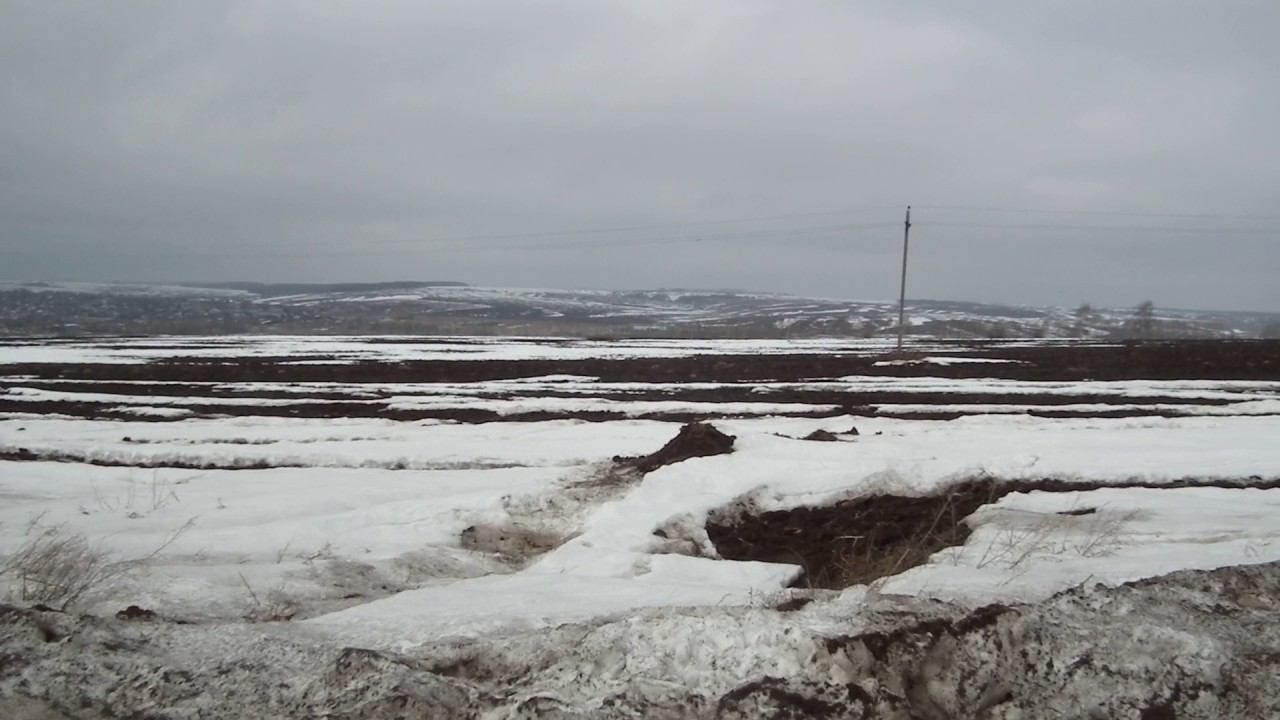 лазазей 2017_DSCF2067