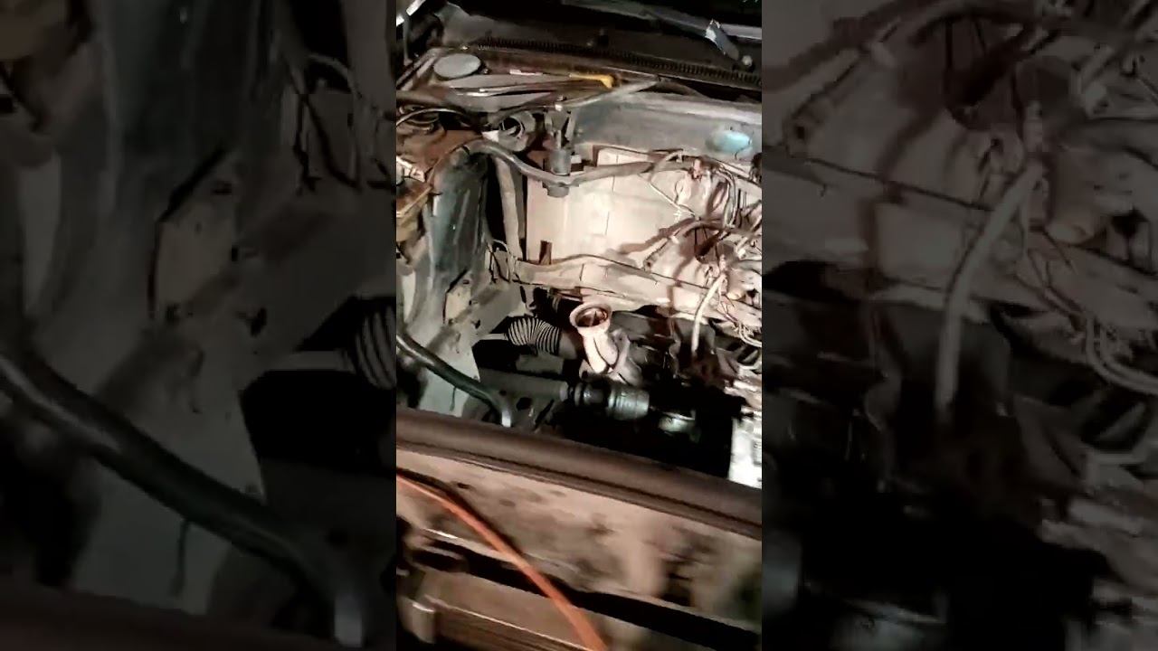 16 октября 2024 г.