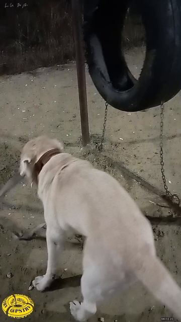 Осмотр снарядов