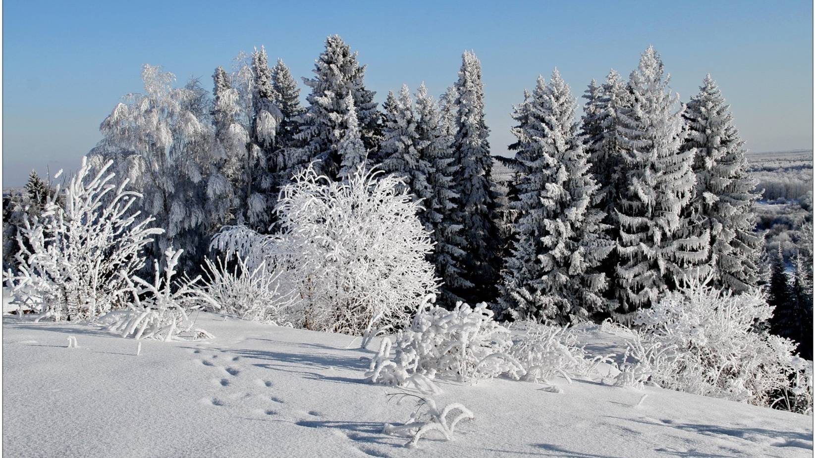 "ОЙ, СНЕГ-СНЕЖОК"... (Remix)... (Фото из альбома Валерия ТОКАЕВА (Котельнич))
