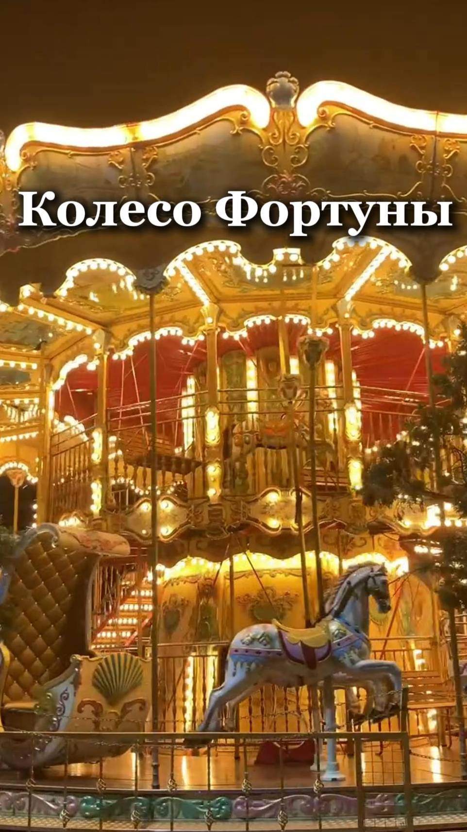 КАРТА ДНЯ - КОЛЕСО ФОРТУНЫ