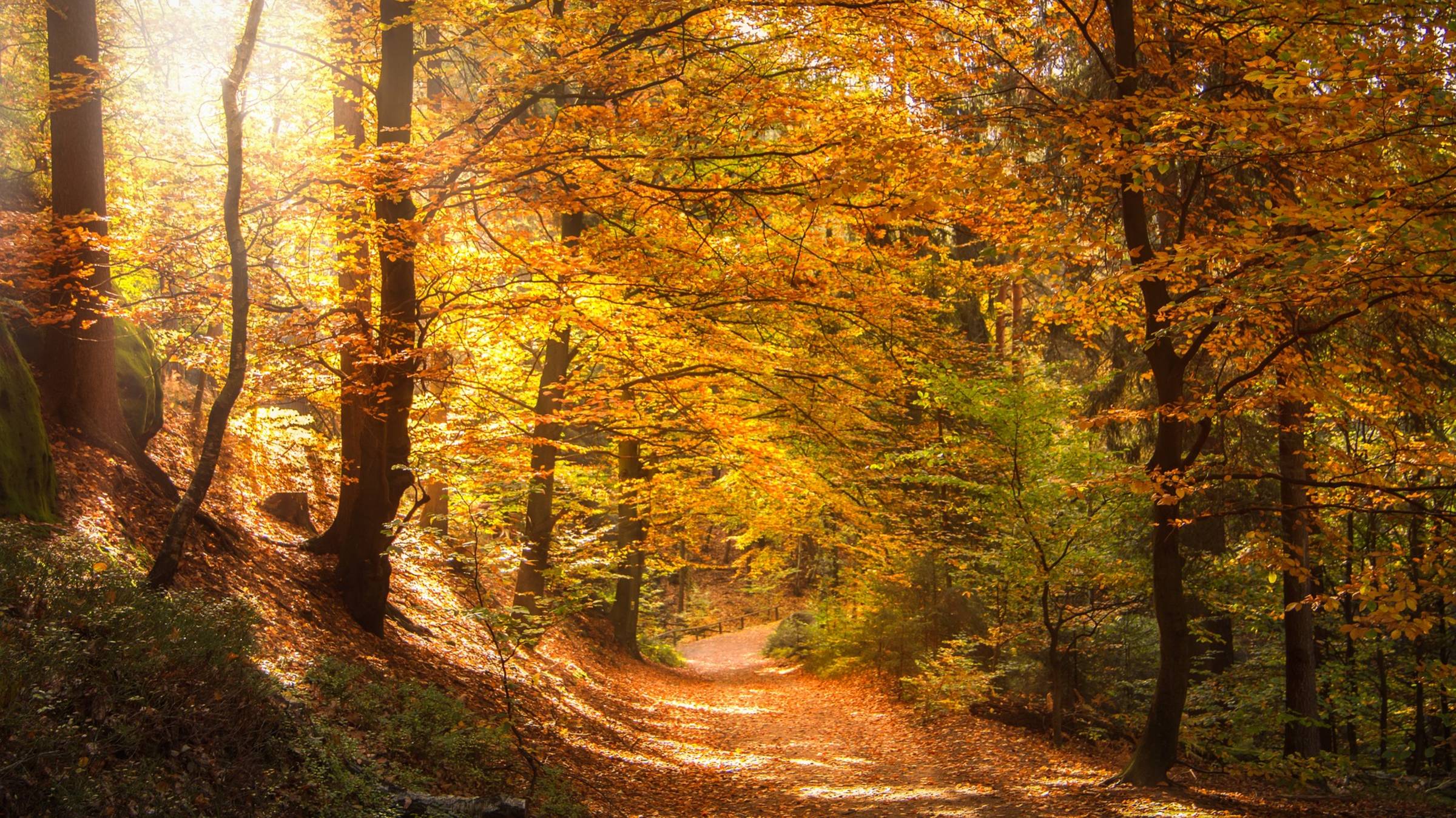 "Бабье лето"  - (Премьера песни 2025, премьера видеоклипа 2025).