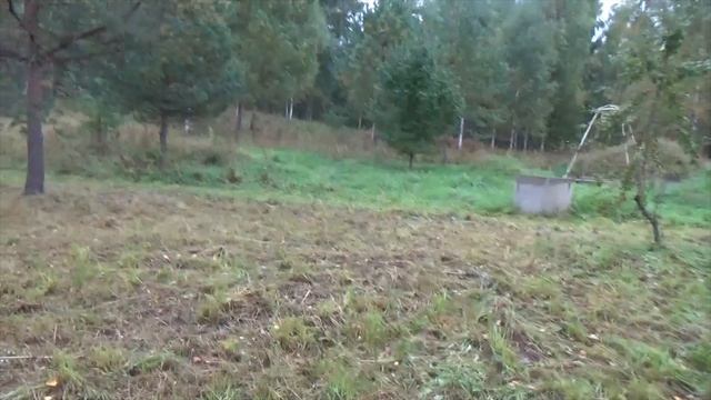 Осень в Деревне -Тихая Охота - 2024