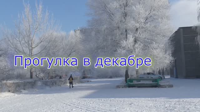 Прогулка  в зимний день...Музыка Вадима Гурьева