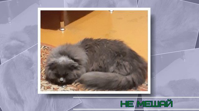 Маленькая волшебница