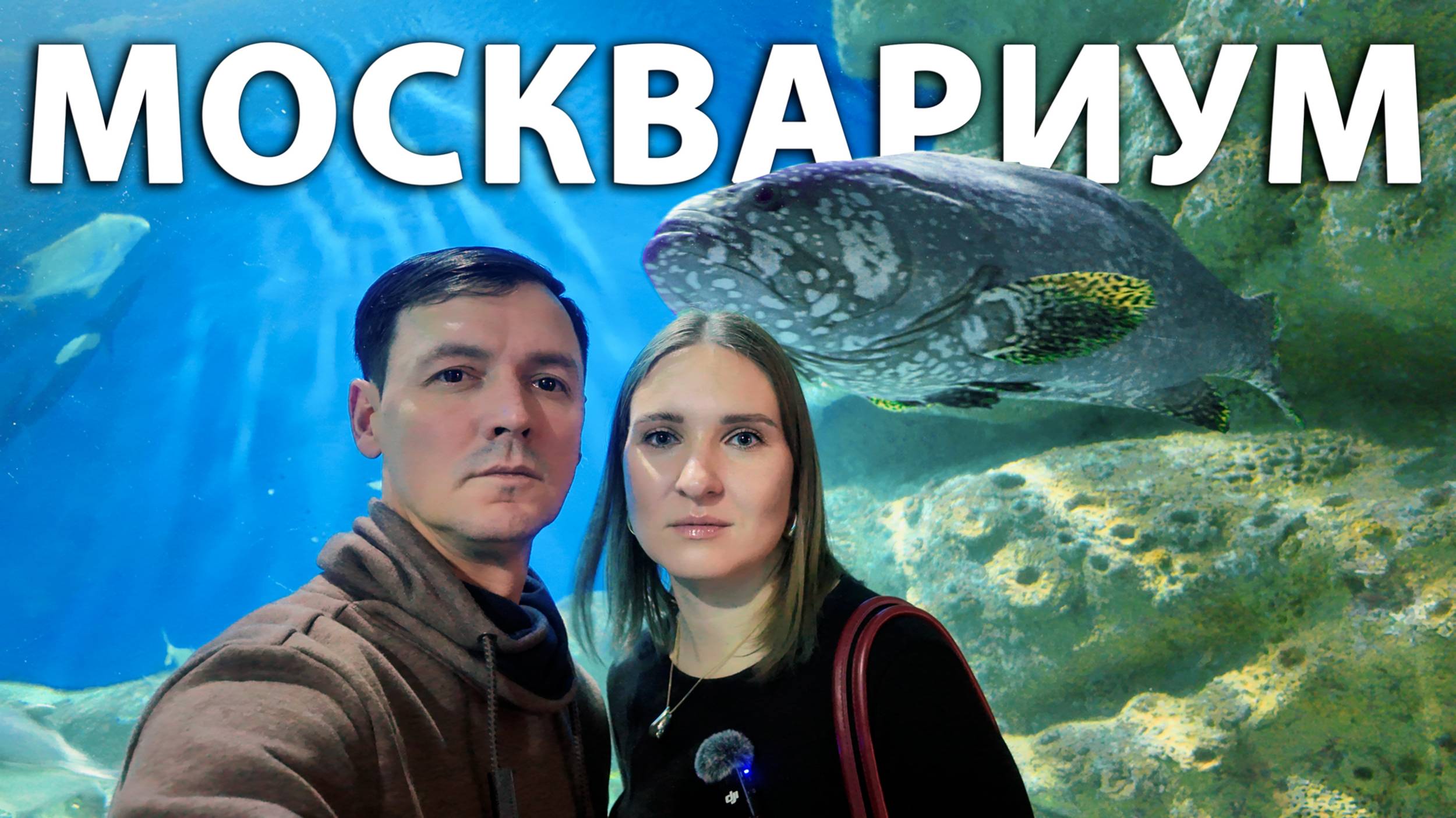 Москвариум на ВДНХ. Какой рыбы тут только нет! Рыбак оценит! Идём в музей "Макет Москвы" бесплатно.