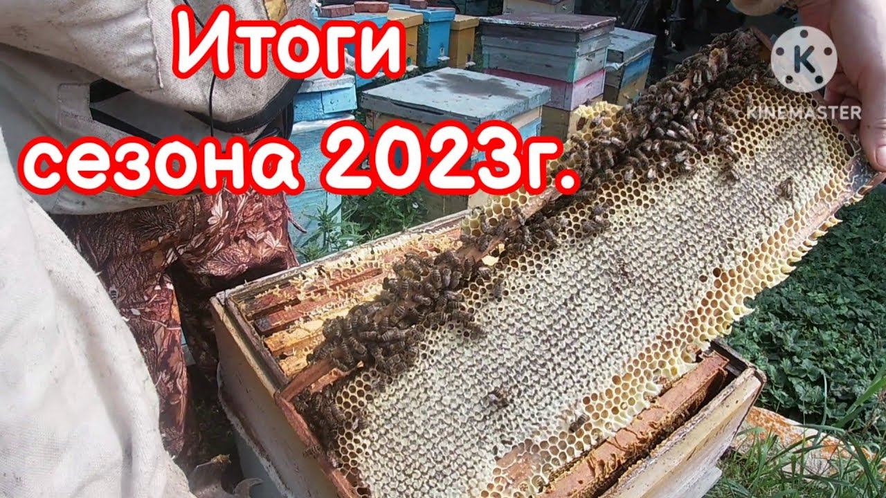 Итоги сезона 2023. Коротко обо всем!